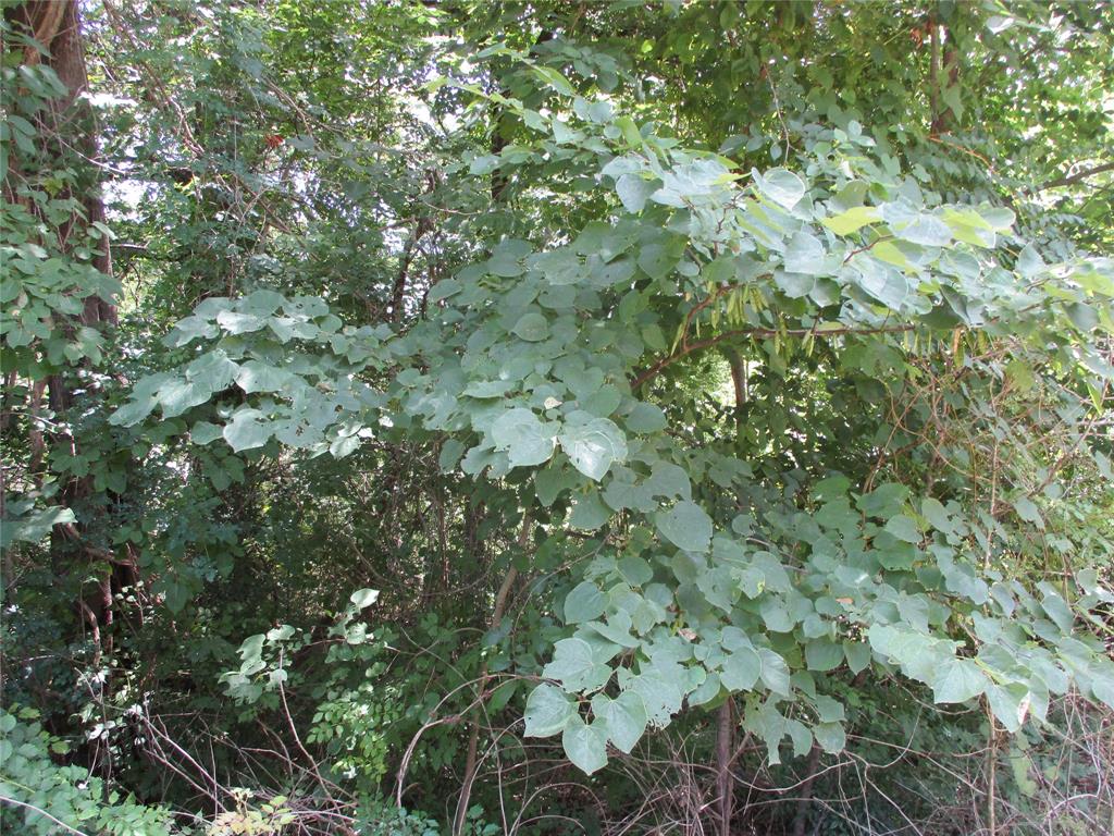 Tbd Laura Dr. Property Photo 1