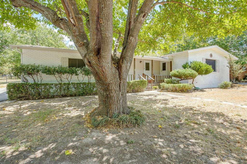 302 Case Street Property Photo 39