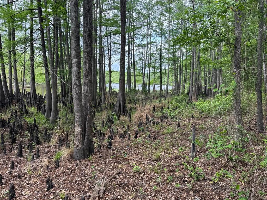 0 Highway 71 Property Photo 3
