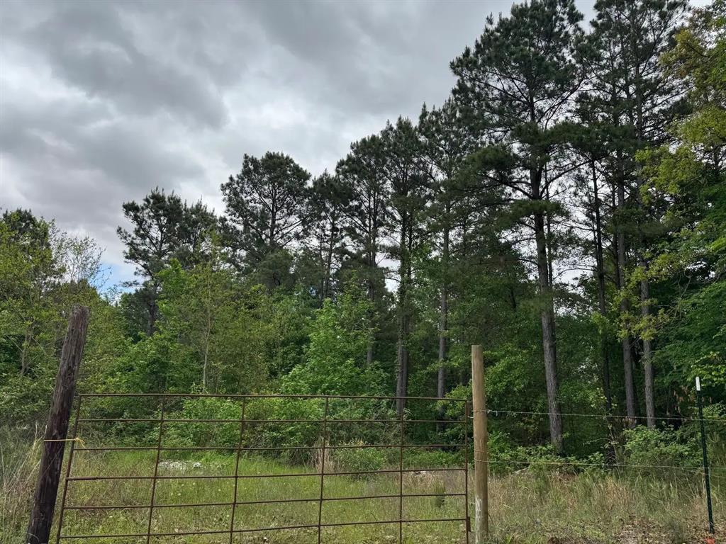 0 Highway 71 Property Photo 4