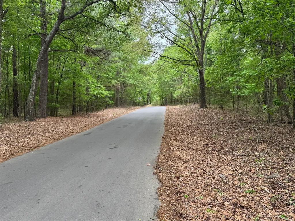 0 Highway 71 Property Photo 6
