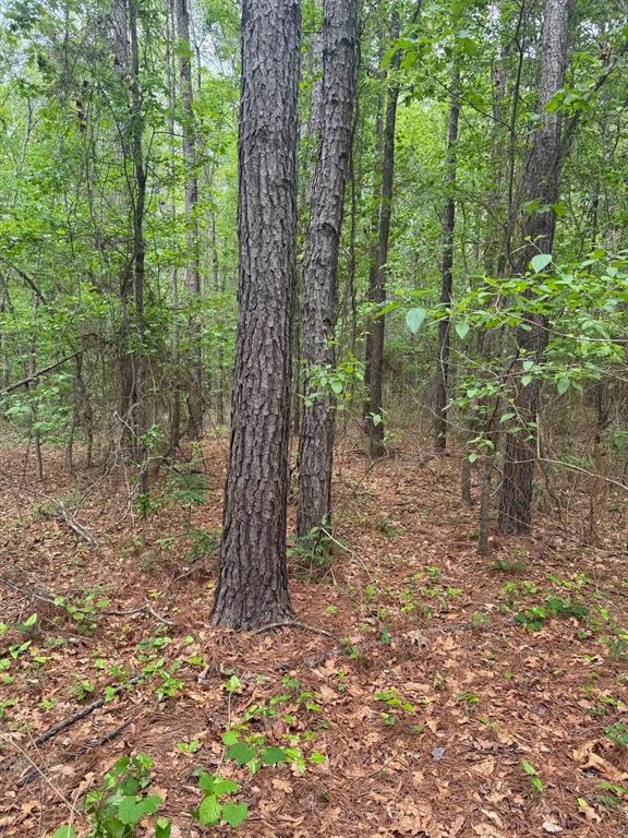 0 Highway 71 Property Photo 7