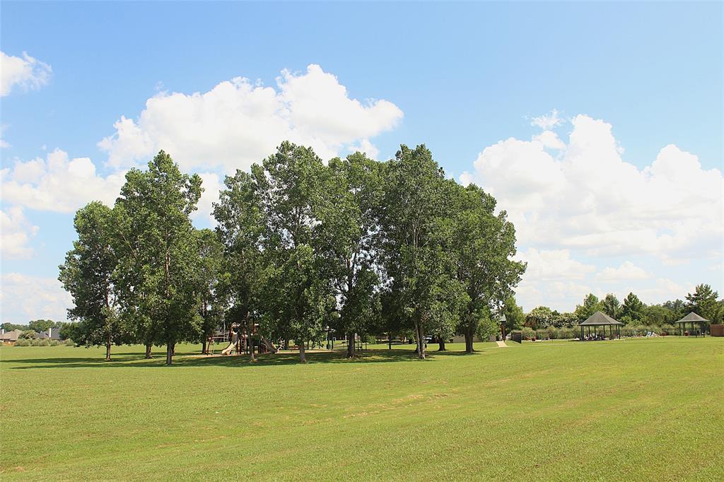 2607 Switchgrass Drive Property Photo 16