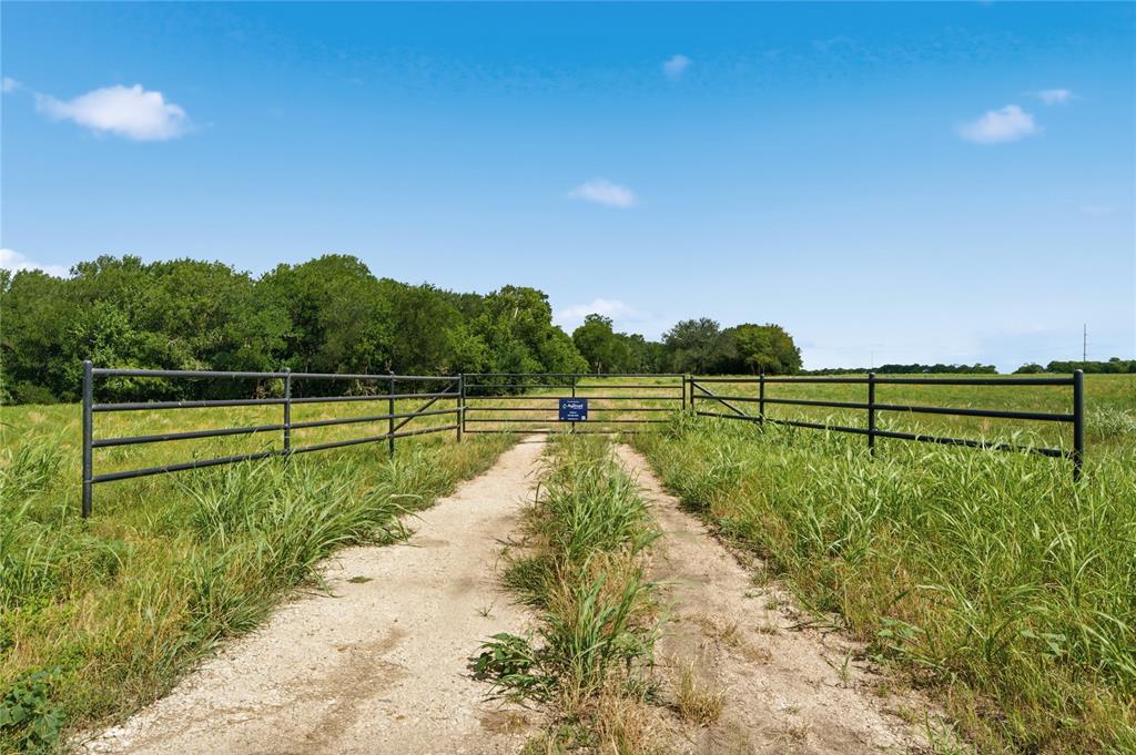 Tract 1 Fm 2114 Property Photo 5