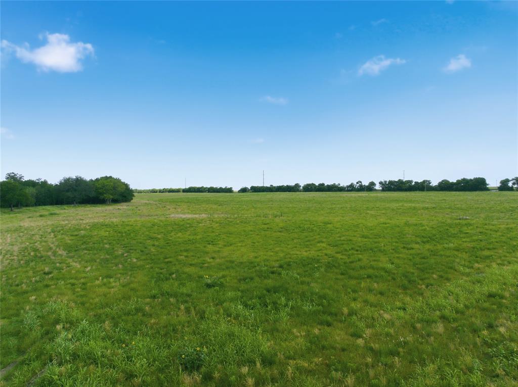 Tract 1 Fm 2114 Property Photo 8