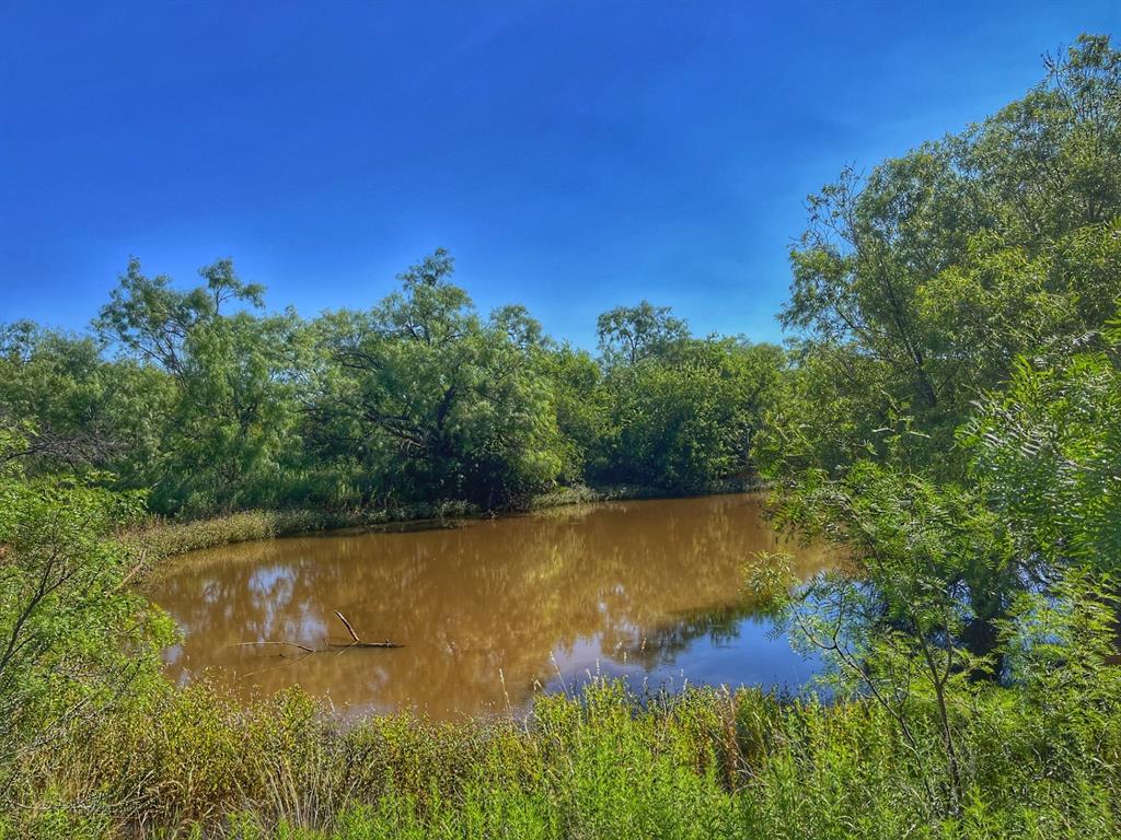 1363 County Road 441 Property Photo 1