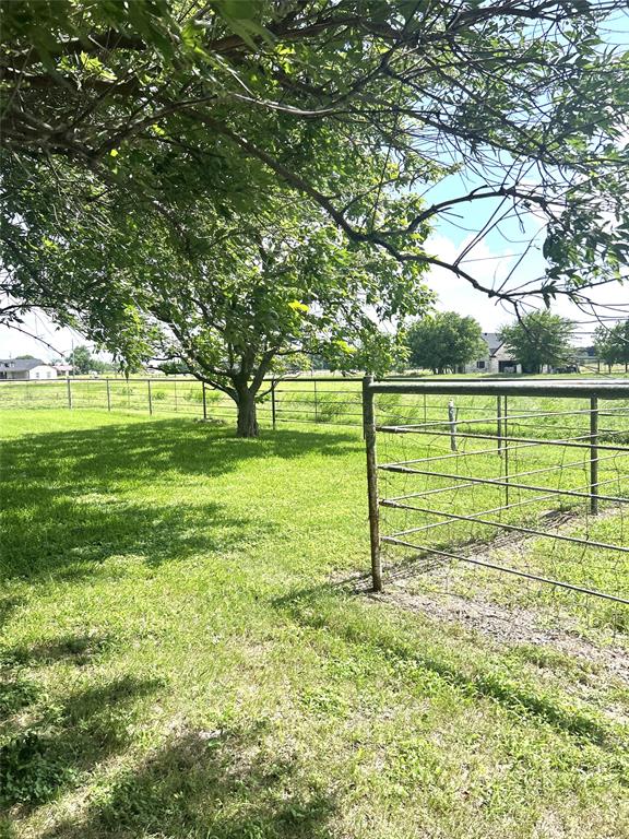 4024 County Road 415 Property Photo 19