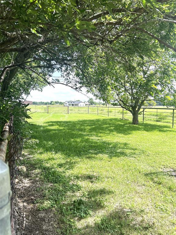 4024 County Road 415 Property Photo 20