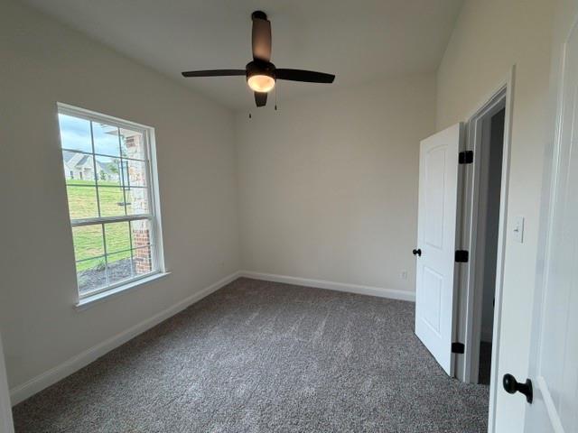 1035 Deer Island Court Property Photo 21