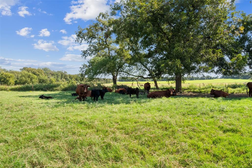 324 E Highway 6 Property Photo 7
