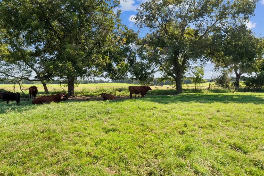 324 E Highway 6 Property Photo 8