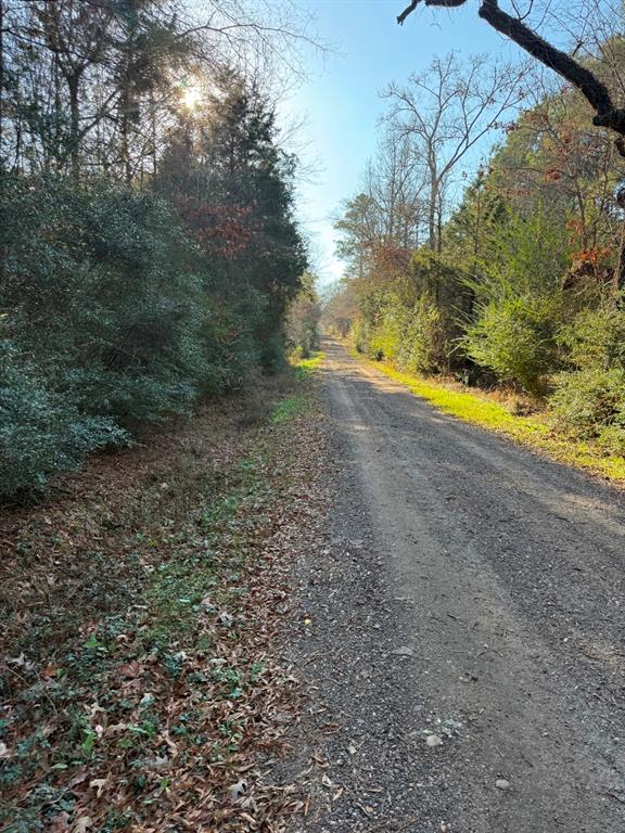 Tbd-d County Road 216 Property Photo 1