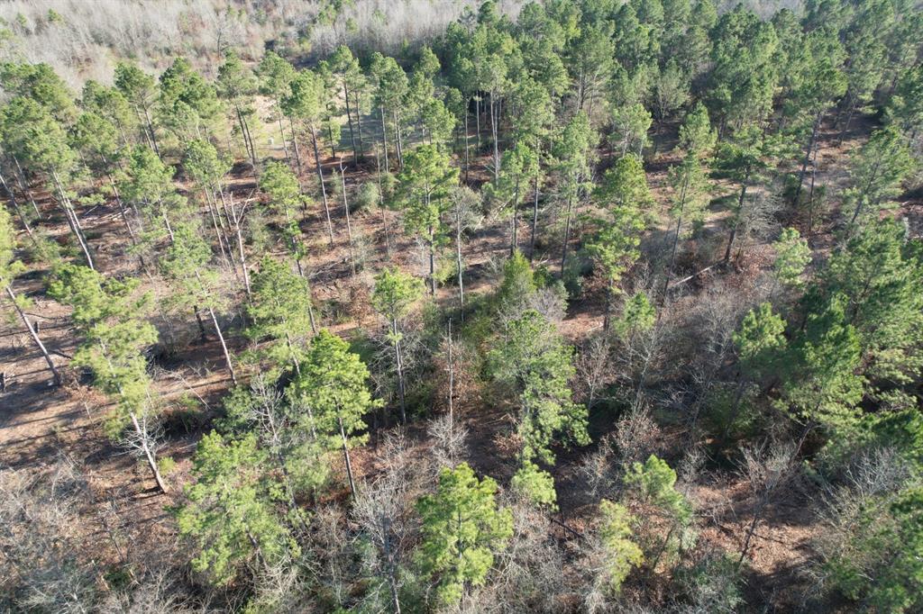 Tbd-d County Road 216 Property Photo 3