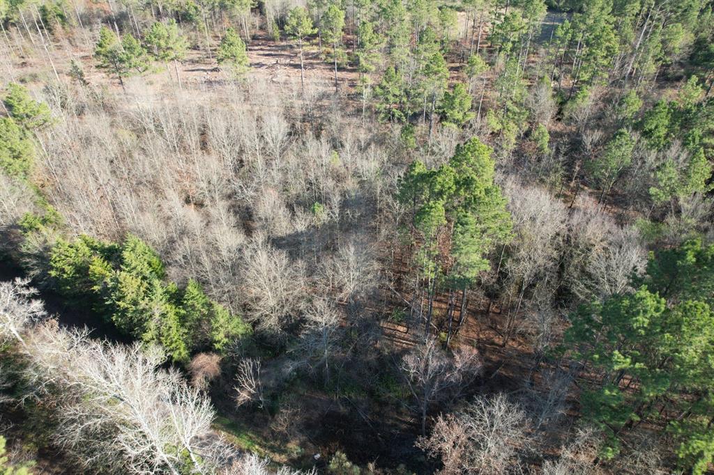 Tbd-d County Road 216 Property Photo 4