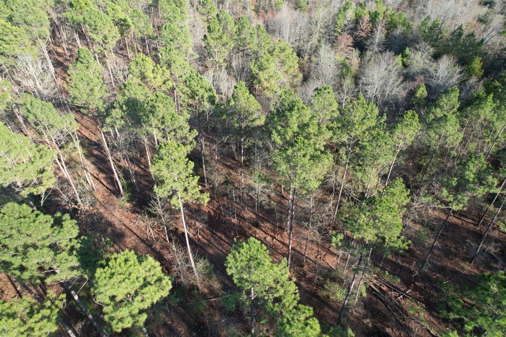 Tbd-d County Road 216 Property Photo 5