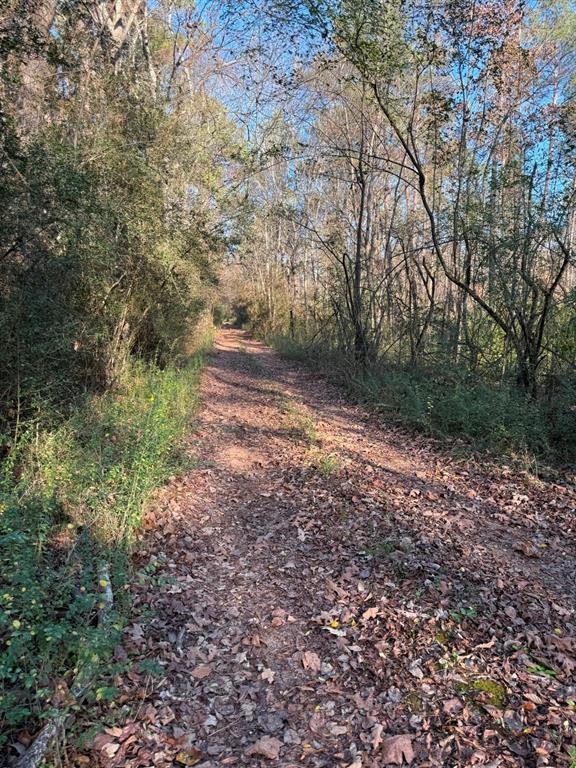 Tbd-d County Road 216 Property Photo 7