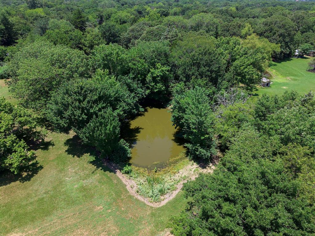 356 Fm 751 Property Photo 22