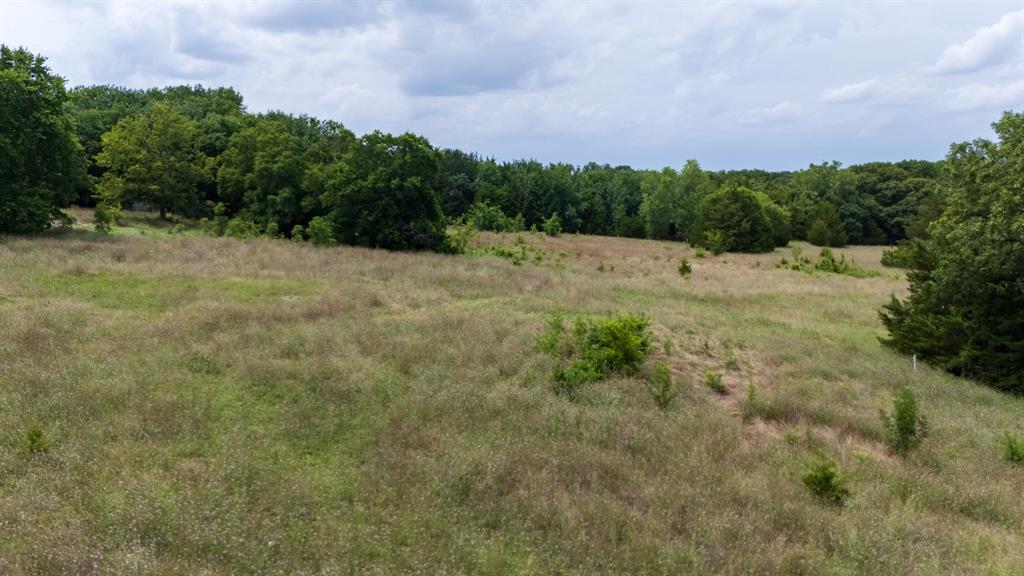 5199 Fm-1827 Property Photo 15