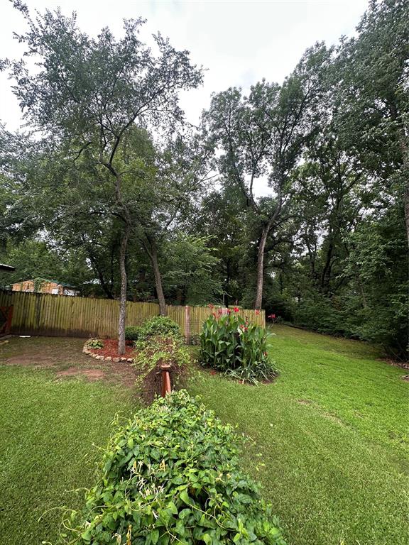 80 Louisiana Avenue Property Photo 25