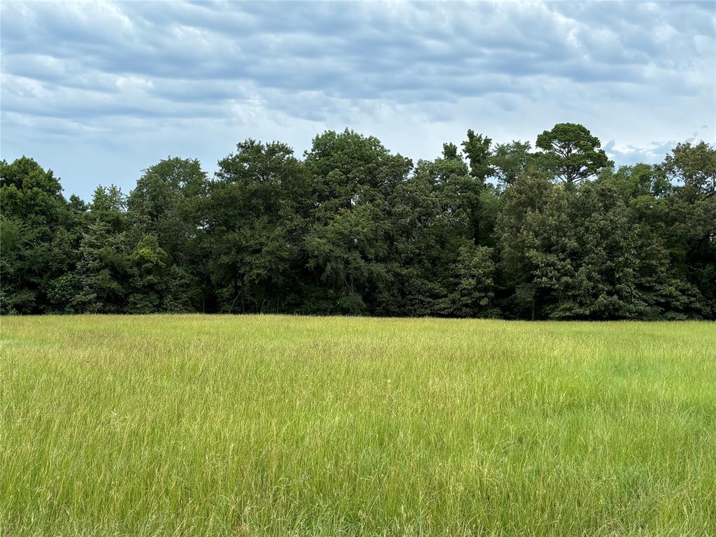 Lot 73 Pr 2712 Property Photo 10