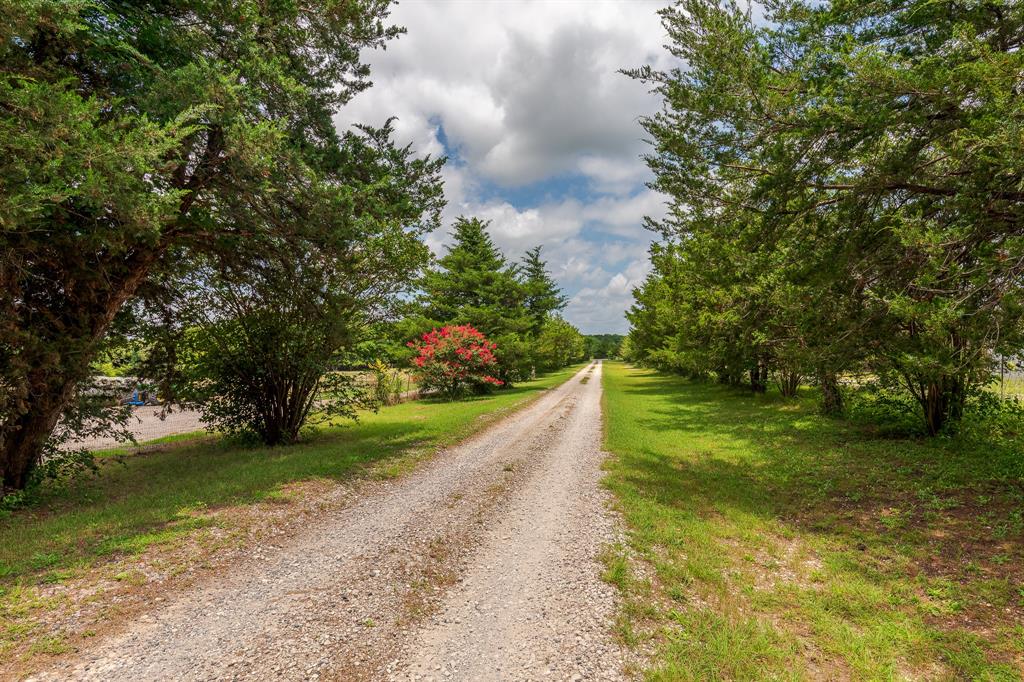 5194 E Fm 455 Property Photo 15