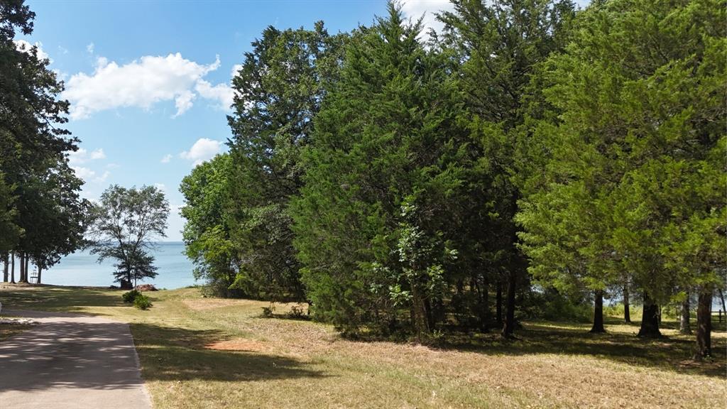 Lot 81 Appomattox Property Photo 11