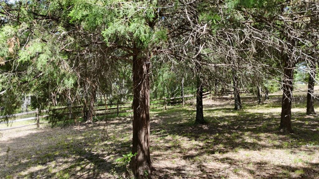 Lot 81 Appomattox Property Photo 19