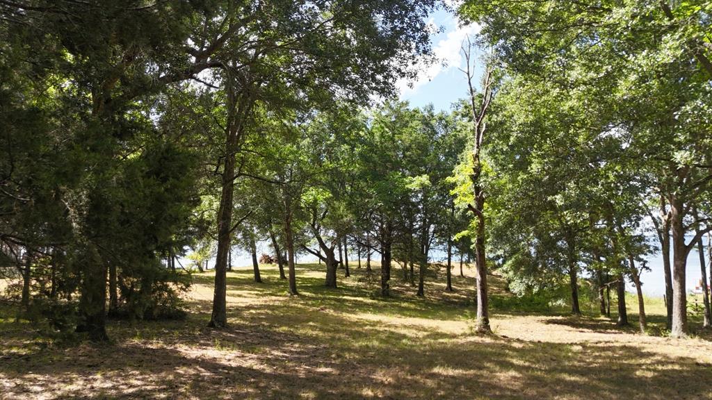 Lot 81 Appomattox Property Photo 22