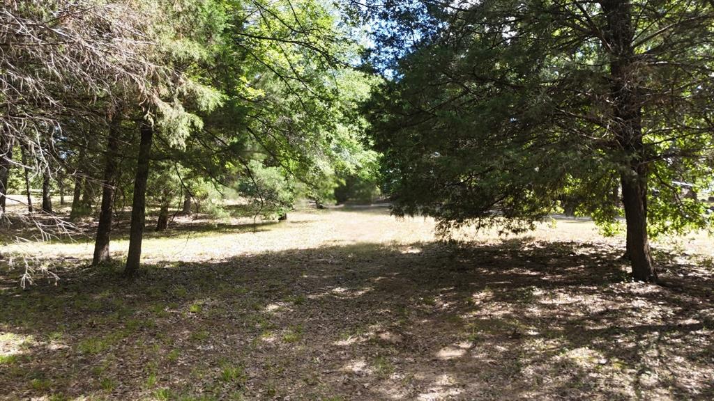 Lot 81 Appomattox Property Photo 24