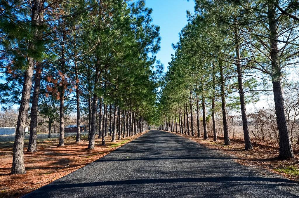 Lot 81 Appomattox Property Photo 31