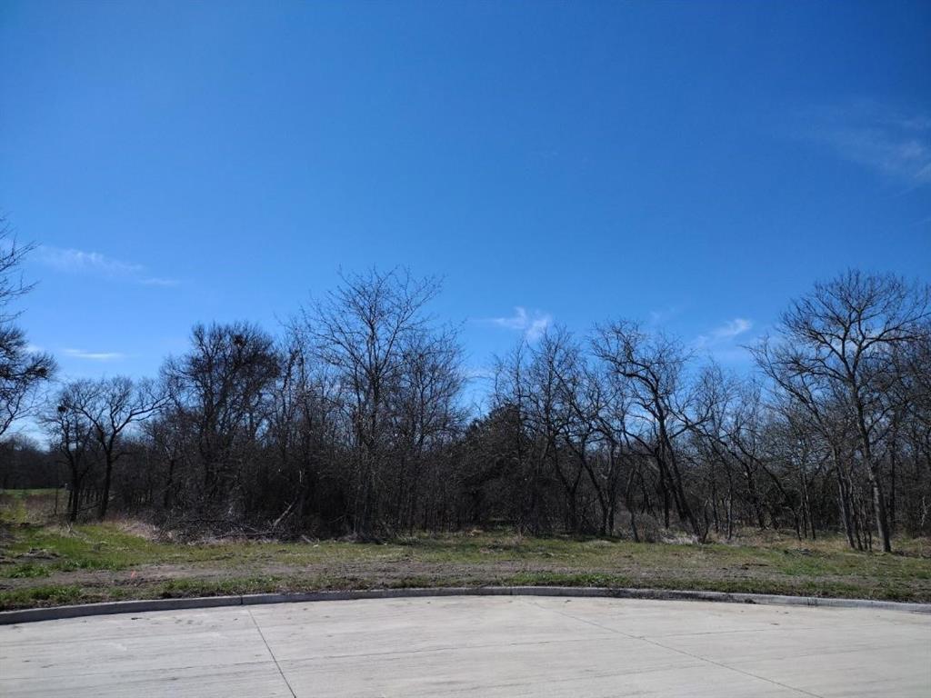 4172 Willow Oak Bend Property Photo 2