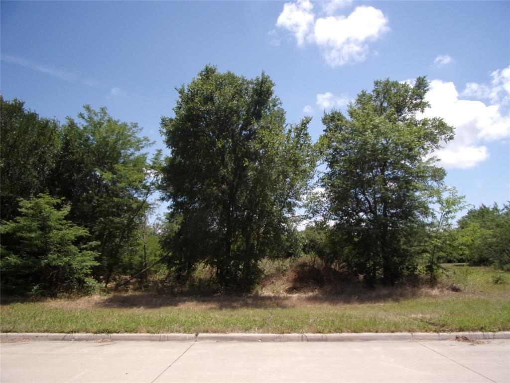 4172 Willow Oak Bend Property Photo 3