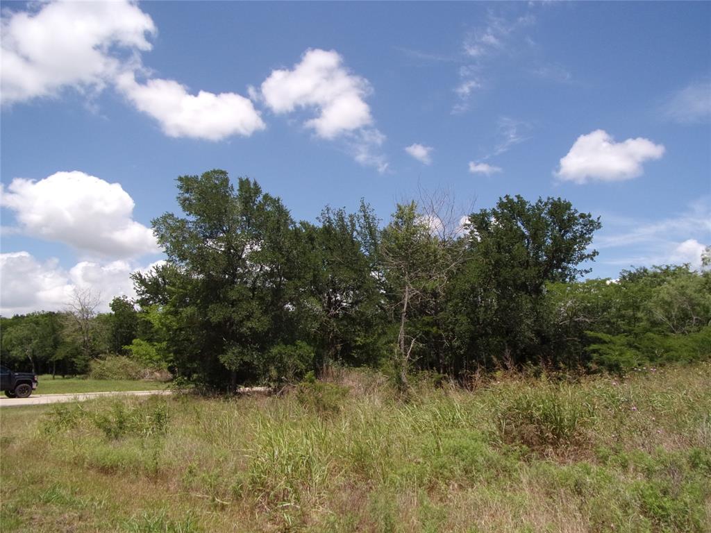 4172 Willow Oak Bend Property Photo 4