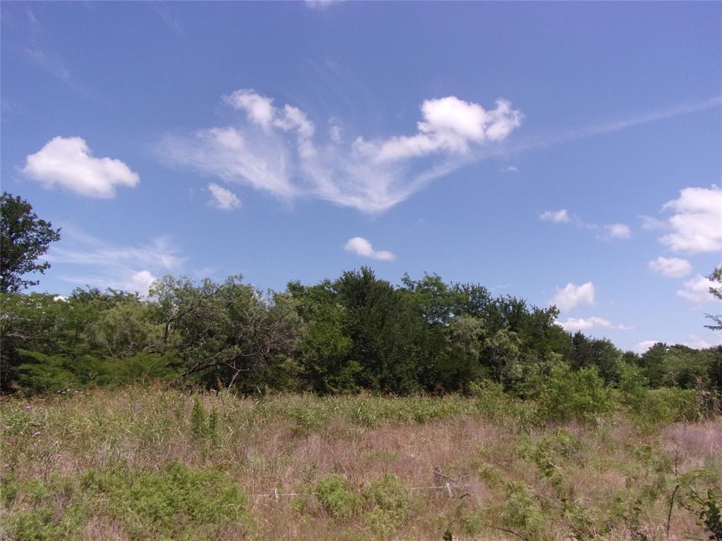 4172 Willow Oak Bend Property Photo 5