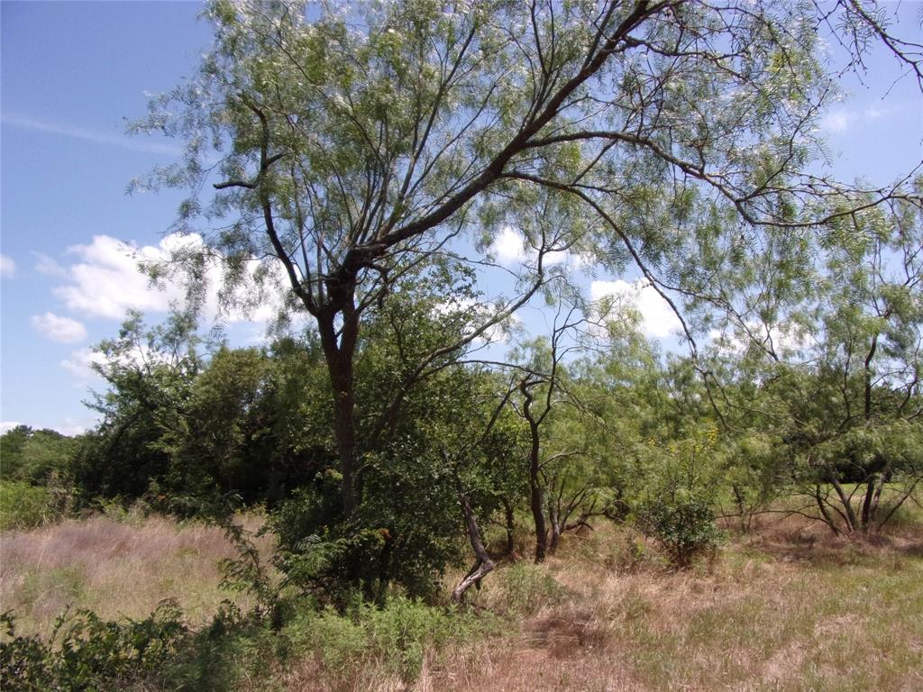 4172 Willow Oak Bend Property Photo 6