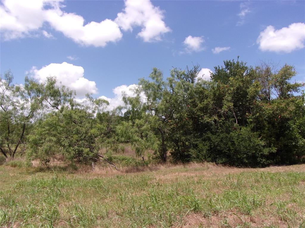 4172 Willow Oak Bend Property Photo 7