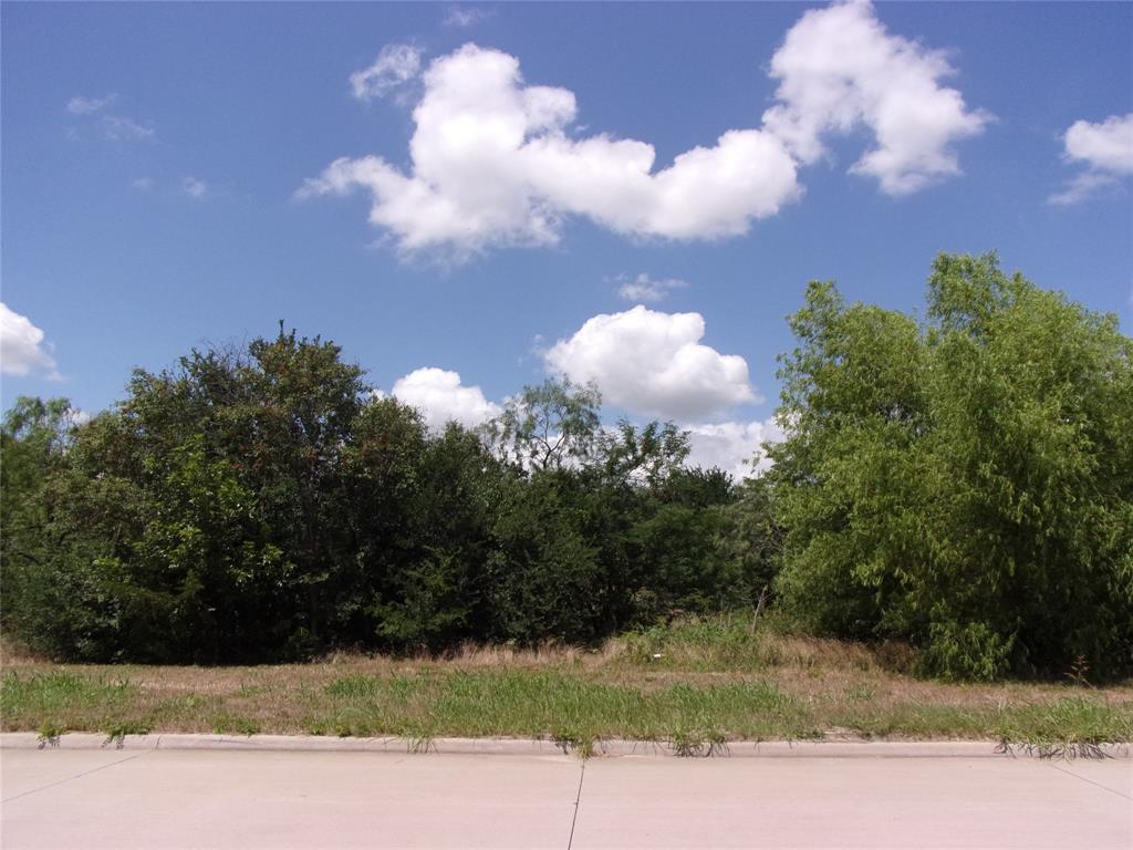 4172 Willow Oak Bend Property Photo 8