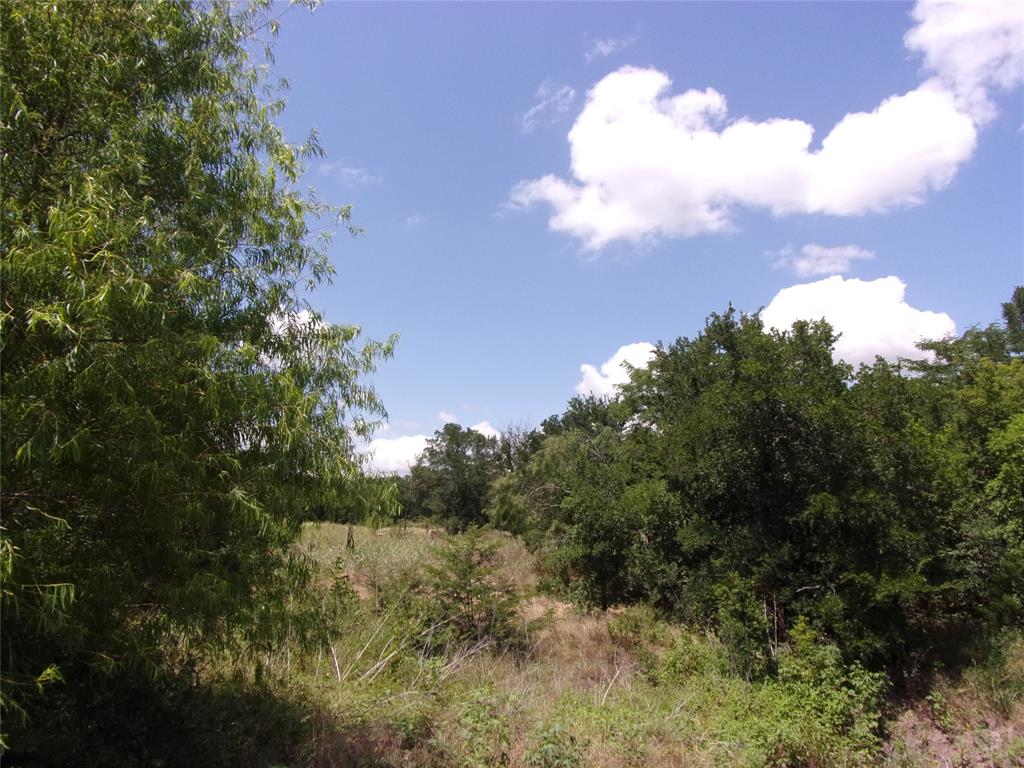 4172 Willow Oak Bend Property Photo 9