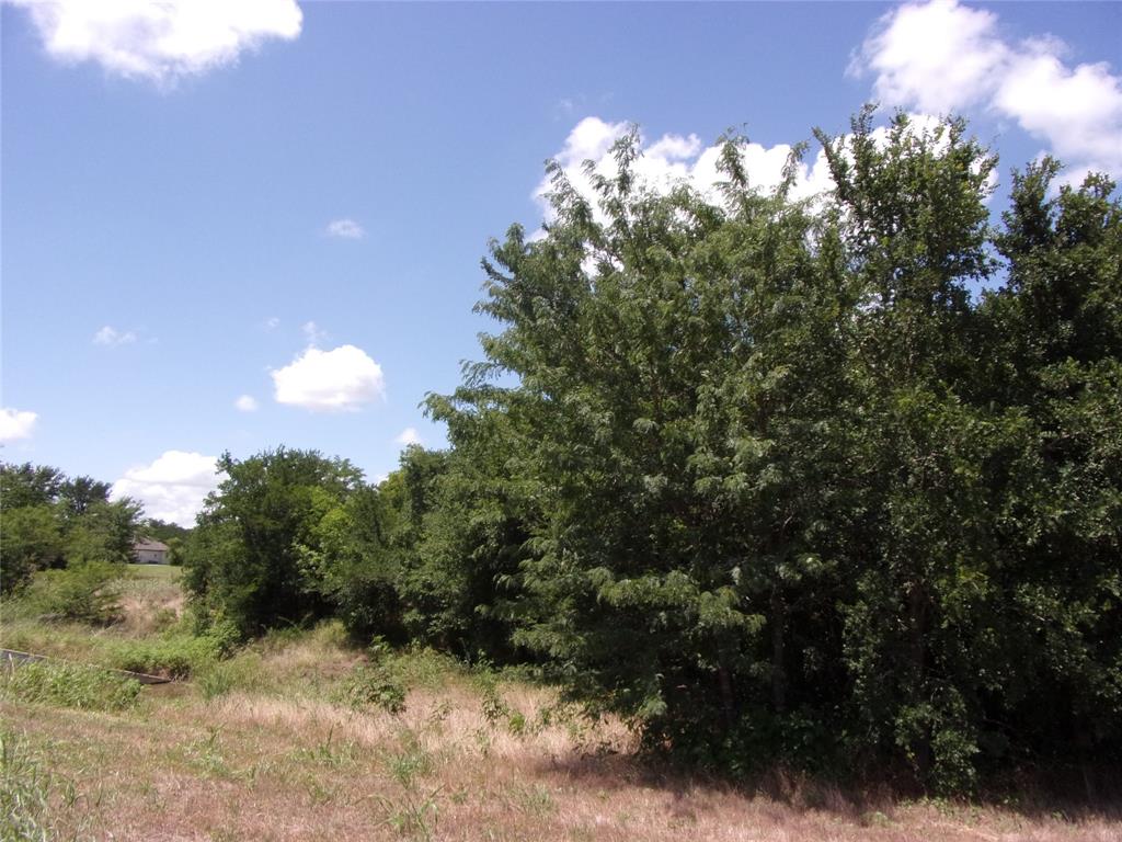 4172 Willow Oak Bend Property Photo 10