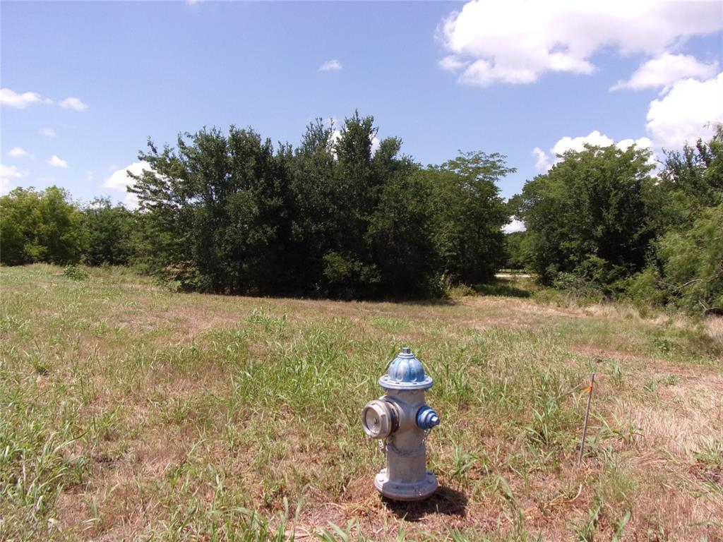 4172 Willow Oak Bend Property Photo 11