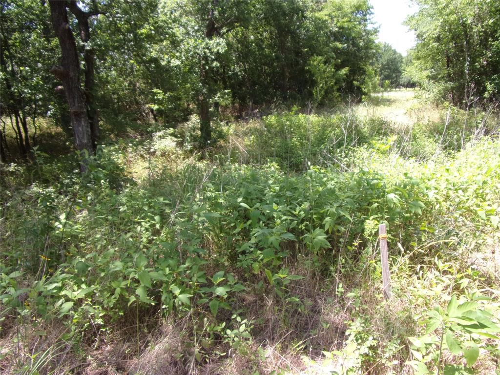 4172 Willow Oak Bend Property Photo 12