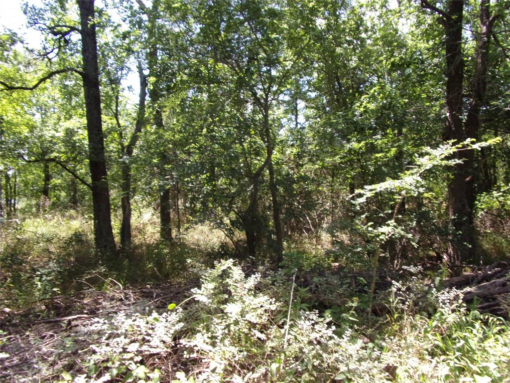 4172 Willow Oak Bend Property Photo 13