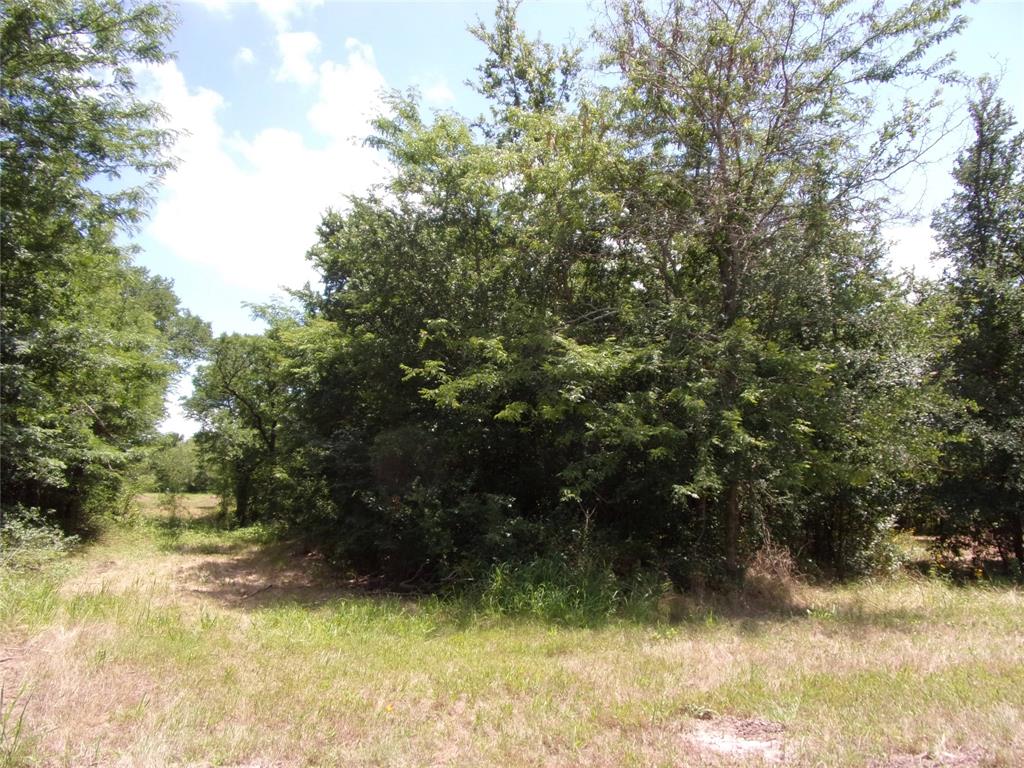 4172 Willow Oak Bend Property Photo 14
