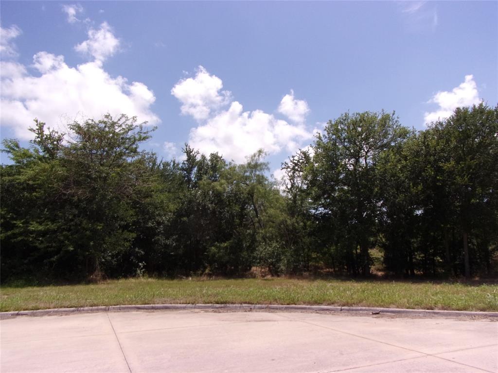 4172 Willow Oak Bend Property Photo 15