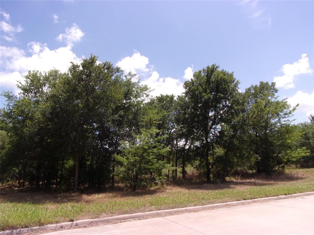 4172 Willow Oak Bend Property Photo 16