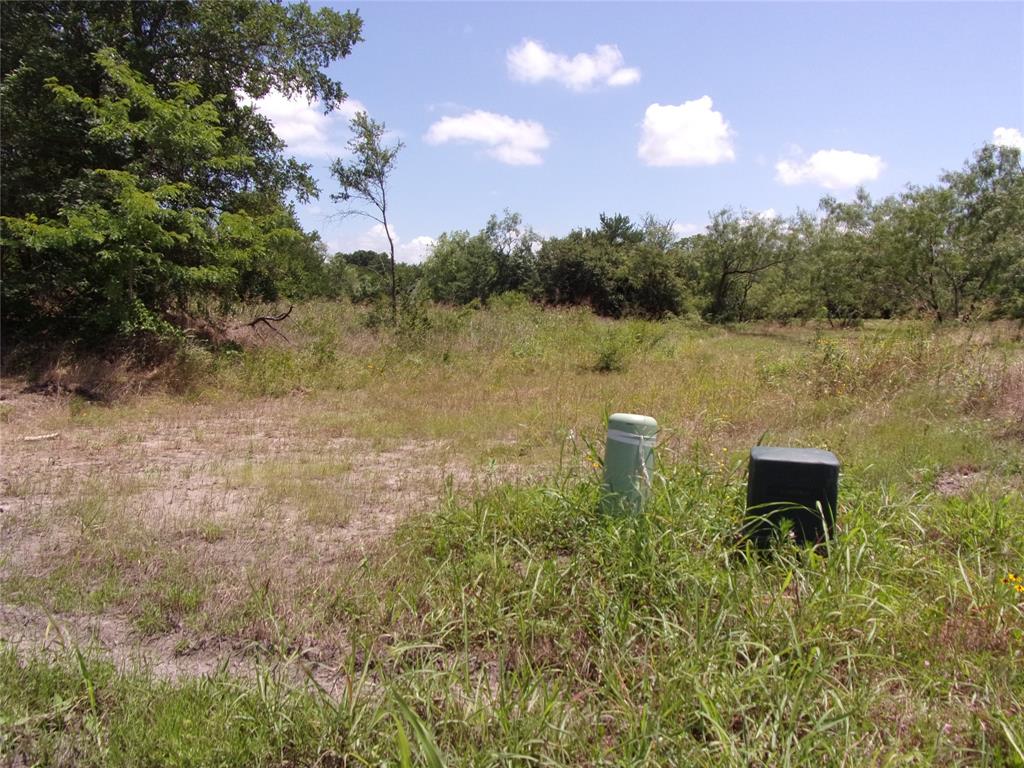 4172 Willow Oak Bend Property Photo 17