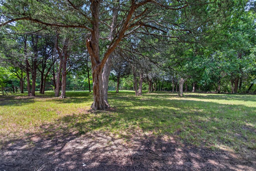 1007 Johnson Lane Property Photo 12
