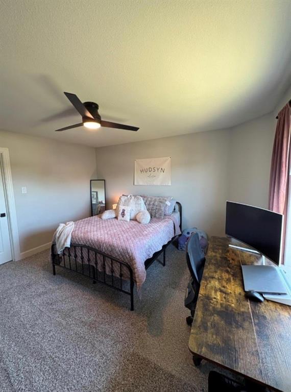 2017 Atwood Drive Property Photo 10