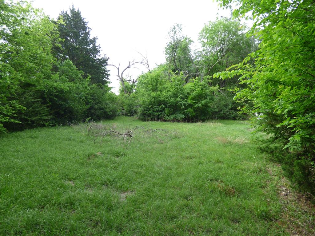 511 W Pecan Street Property Photo 4