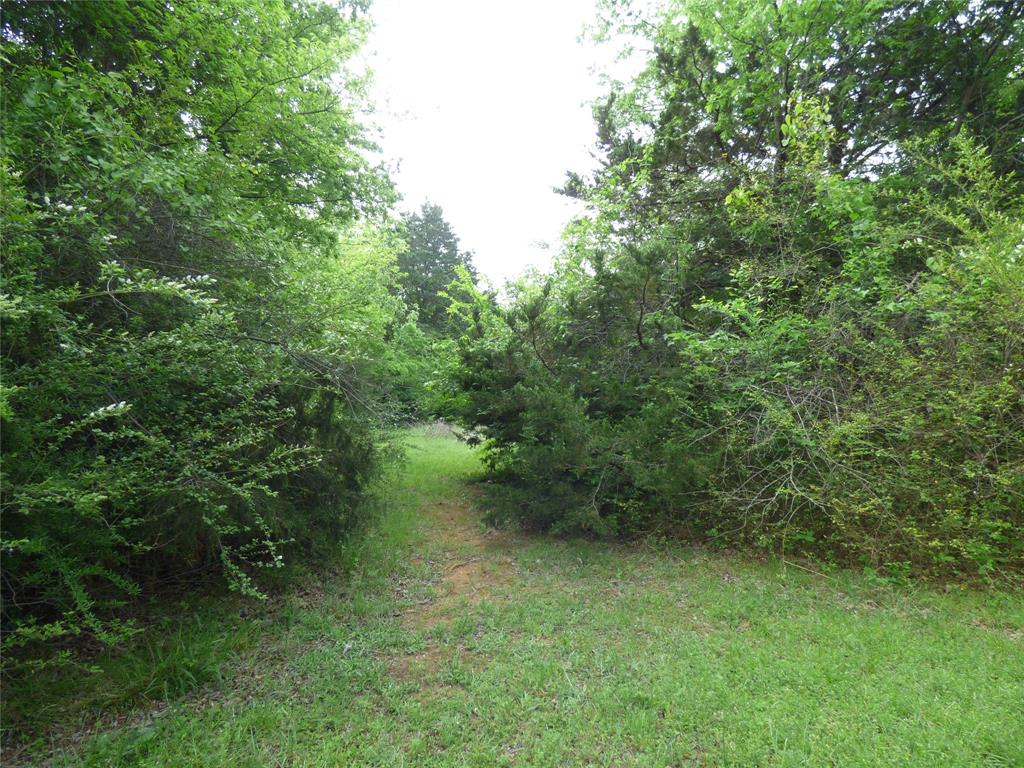 511 W Pecan Street Property Photo 5